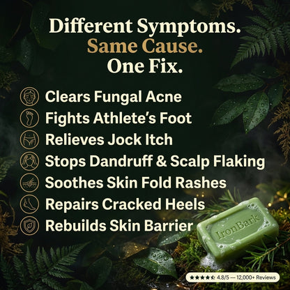 NAIA Ironbark Antifungal Soap Bar with natural ingredients, highlighting skin health and fungal prevention benefits.